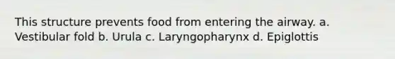 This structure prevents food from entering the airway. a. Vestibular fold b. Urula c. Laryngopharynx d. Epiglottis
