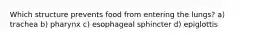 Which structure prevents food from entering the lungs? a) trachea b) pharynx c) esophageal sphincter d) epiglottis
