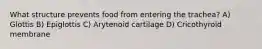 What structure prevents food from entering the trachea? A) Glottis B) Epiglottis C) Arytenoid cartilage D) Cricothyroid membrane