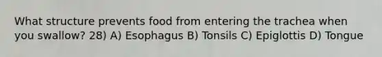 What structure prevents food from entering the trachea when you swallow? 28) A) Esophagus B) Tonsils C) Epiglottis D) Tongue