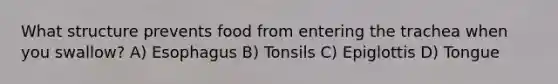 What structure prevents food from entering the trachea when you swallow? A) Esophagus B) Tonsils C) Epiglottis D) Tongue