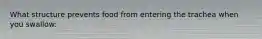 What structure prevents food from entering the trachea when you swallow:
