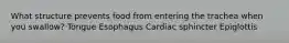 What structure prevents food from entering the trachea when you swallow? Tongue Esophagus Cardiac sphincter Epiglottis
