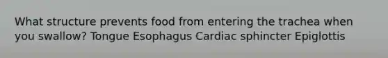What structure prevents food from entering the trachea when you swallow? Tongue Esophagus Cardiac sphincter Epiglottis