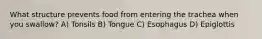 What structure prevents food from entering the trachea when you swallow? A) Tonsils B) Tongue C) Esophagus D) Epiglottis