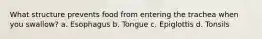 What structure prevents food from entering the trachea when you swallow? a. Esophagus b. Tongue c. Epiglottis d. Tonsils