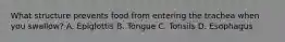What structure prevents food from entering the trachea when you swallow? A. Epiglottis B. Tongue C. Tonsils D. Esophagus