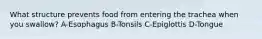 What structure prevents food from entering the trachea when you swallow? A-Esophagus B-Tonsils C-Epiglottis D-Tongue