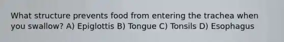 What structure prevents food from entering the trachea when you swallow? A) Epiglottis B) Tongue C) Tonsils D) Esophagus