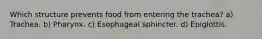 Which structure prevents food from entering the trachea? a) Trachea. b) Pharynx. c) Esophageal sphincter. d) Epiglottis.