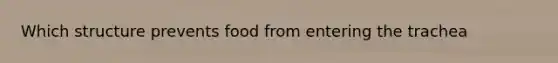 Which structure prevents food from entering the trachea