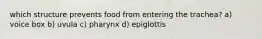 which structure prevents food from entering the trachea? a) voice box b) uvula c) pharynx d) epiglottis