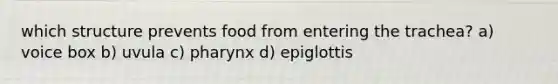 which structure prevents food from entering the trachea? a) voice box b) uvula c) pharynx d) epiglottis