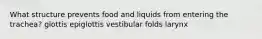 What structure prevents food and liquids from entering the trachea? glottis epiglottis vestibular folds larynx