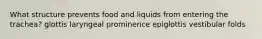What structure prevents food and liquids from entering the trachea? glottis laryngeal prominence epiglottis vestibular folds