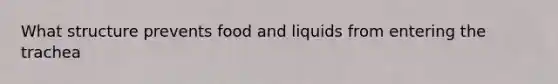 What structure prevents food and liquids from entering the trachea