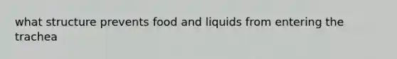 what structure prevents food and liquids from entering the trachea