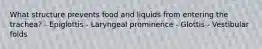 What structure prevents food and liquids from entering the trachea? - Epiglottis - Laryngeal prominence - Glottis - Vestibular folds