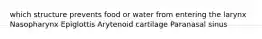 which structure prevents food or water from entering the larynx Nasopharynx Epiglottis Arytenoid cartilage Paranasal sinus