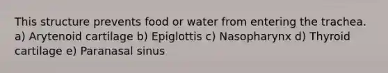 This structure prevents food or water from entering the trachea. a) Arytenoid cartilage b) Epiglottis c) Nasopharynx d) Thyroid cartilage e) Paranasal sinus