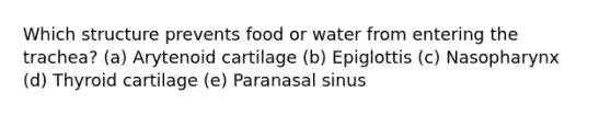 Which structure prevents food or water from entering the trachea? (a) Arytenoid cartilage (b) Epiglottis (c) Nasopharynx (d) Thyroid cartilage (e) Paranasal sinus