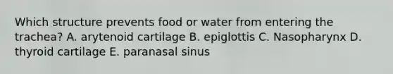 Which structure prevents food or water from entering the trachea? A. arytenoid cartilage B. epiglottis C. Nasopharynx D. thyroid cartilage E. paranasal sinus