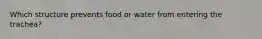 Which structure prevents food or water from entering the trachea?