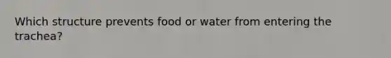 Which structure prevents food or water from entering the trachea?