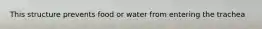 This structure prevents food or water from entering the trachea