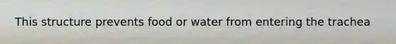 This structure prevents food or water from entering the trachea