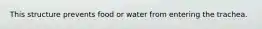 This structure prevents food or water from entering the trachea.