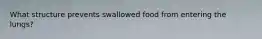 What structure prevents swallowed food from entering the lungs?