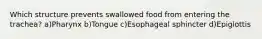 Which structure prevents swallowed food from entering the trachea? a)Pharynx b)Tongue c)Esophageal sphincter d)Epiglottis