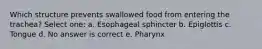 Which structure prevents swallowed food from entering the trachea? Select one: a. Esophageal sphincter b. Epiglottis c. Tongue d. No answer is correct e. Pharynx