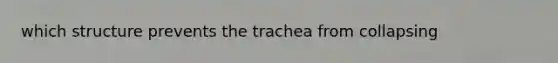 which structure prevents the trachea from collapsing