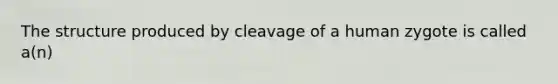 The structure produced by cleavage of a human zygote is called a(n)