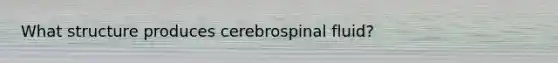 What structure produces cerebrospinal fluid?