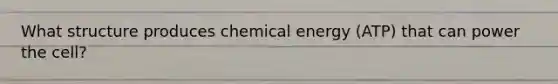 What structure produces chemical energy (ATP) that can power the cell?