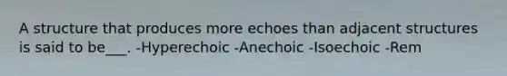 A structure that produces more echoes than adjacent structures is said to be___. -Hyperechoic -Anechoic -Isoechoic -Rem