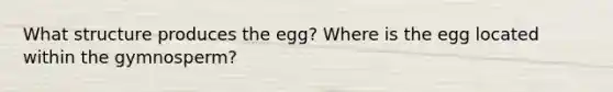 What structure produces the egg? Where is the egg located within the gymnosperm?