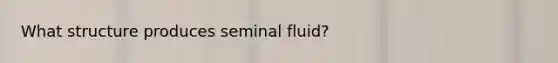 What structure produces seminal fluid?