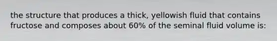 the structure that produces a thick, yellowish fluid that contains fructose and composes about 60% of the seminal fluid volume is: