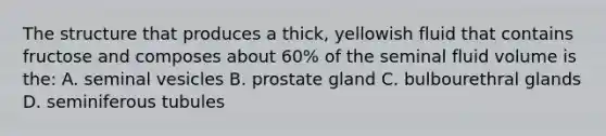 The structure that produces a thick, yellowish fluid that contains fructose and composes about 60% of the seminal fluid volume is the: A. seminal vesicles B. prostate gland C. bulbourethral glands D. seminiferous tubules