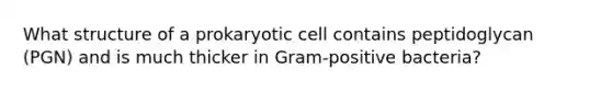 What structure of a prokaryotic cell contains peptidoglycan (PGN) and is much thicker in Gram-positive bacteria?