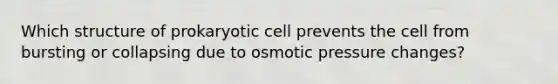 Which structure of prokaryotic cell prevents the cell from bursting or collapsing due to osmotic pressure changes?