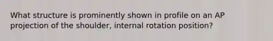 What structure is prominently shown in profile on an AP projection of the shoulder, internal rotation position?