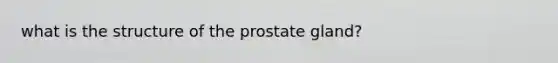 what is the structure of the prostate gland?