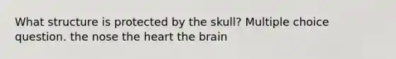 What structure is protected by the skull? Multiple choice question. the nose the heart the brain