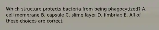 Which structure protects bacteria from being phagocytized? A. cell membrane B. capsule C. slime layer D. fimbriae E. All of these choices are correct.