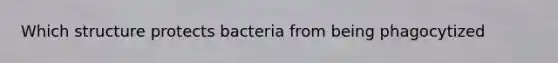 Which structure protects bacteria from being phagocytized